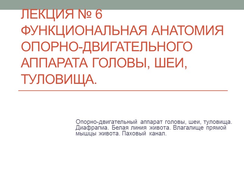 Лекция № 6 Функциональная анатомия опорно-двигательного аппарата головы, шеи, туловища. Опорно-двигательный аппарат головы, шеи, Лекция № 6 Функциональная анатомия опорно-двигательного аппарата головы, шеи, туловища. Опорно-двигательный аппарат головы, шеи,